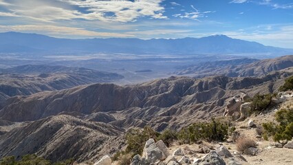 Obraz premium Joshua Tree Park, Californie