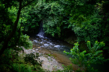 森の中の川と滝