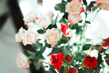 Small roses, selective focus, Soviet lens