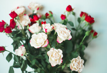 Small white and red bush roses, selective focus,