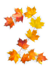 Number 2 from of colorful autumnal maple leaves on white background. Top view, flat lay