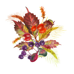 Watercolor card with colorful autumn leaves and berries. With transparent layer.