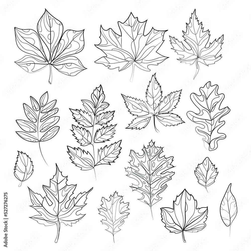 Poster collection of autumn different leaves abstract line drawing design element.vector set of leaves dood