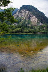 Wallpaper of the light yellow seaweed at the bottom of the lake in Jiuzhaigou Valley Scenic Area, Aba Tibetan Autonomous Prefecture, Sichuan, China. UNESCO World Heritage site, background