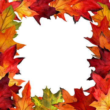Watercolor draw of maple leaves in ornamental border. Square frame from autumn leaves isolated on white background. Design for letter and card, decor, covers, seasonal offers.