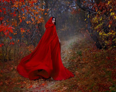 Art gothic fantasy woman like red riding hood walks in dark autumn forest. long silk cloak flutters, waving fly in wind fabric in motion. Girl princess looks back. Fallen orange leaves dark trees path