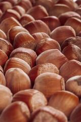 Closeup of some unopened hazelnuts