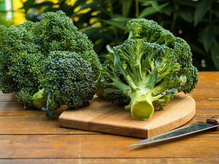 Healthy Green Organic Raw Broccoli Florets Ready for Cooking