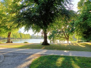 Summer day in the park