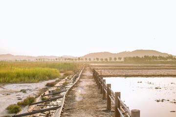 Obraz premium path to the beach