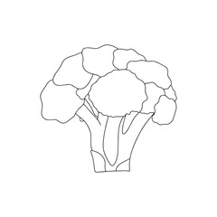 Broccoli simple thin line icon vector illustration
