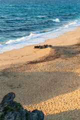 Deserted sandy beach of the atlantic ocean in the rays of the setting sun