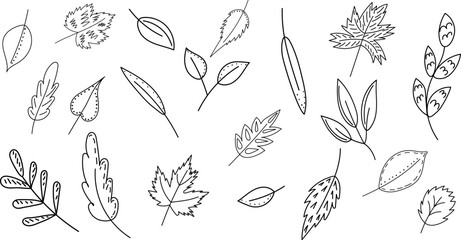 leaves set in doodle sketch, outline vector, isolated
