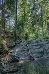 Fototapeta premium Bieszczady Mountains, Poland, The wildest region in the Poland, Polish Mountains and landscapes, Along the Bieszczady trails, Zwiezlo nature reserve,