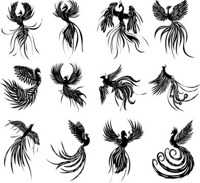 phoenix birds, firebird set silhouette isolated, vector
