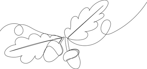 acorns drawing by one continuous line, vector