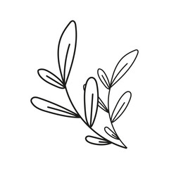 botanical flower plant decoration