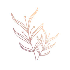 botanical flower plant decoration