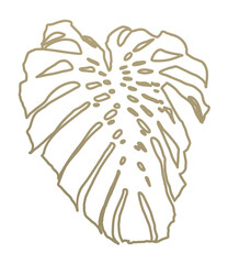 Monstera outline