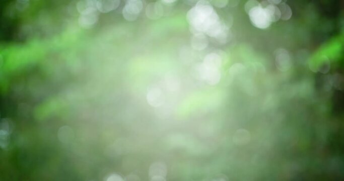 Abstract background green bokeh blue background 4K Apple ProRes 4:2:2 HQ