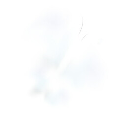 PNG