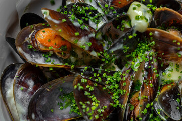 Obraz na płótnie Canvas Mussels in creamy sauce