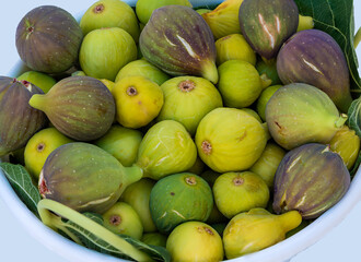 Figs in a basket