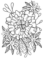 coloring book botany flowers plants graphics vector doodle illustration antistress for children and adults isolated on a white background