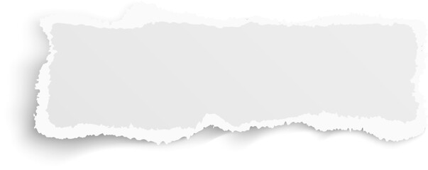 Fototapeta premium Torn paper strip mockup. Realistic ripped edge