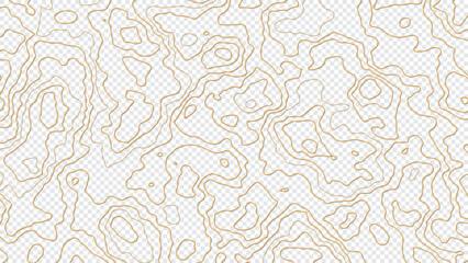 Fototapeta na wymiar Topographic map lines isolated on transparent background. Abstract vector illustration.