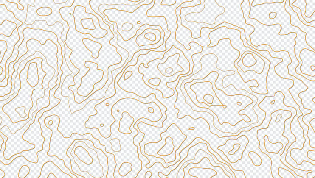 Topographic map lines isolated on transparent background. Abstract vector illustration.
