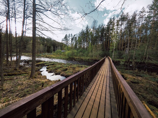 Fototapeta na wymiar wooden bridge in the woods