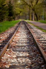 Railway track in the forest. Forest railway track view. Railway track in dark forest.