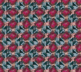 Fototapeta na wymiar geomatrical pattern and rose flower