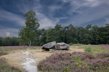 Dolmen D40, Valtherbos municipality of Emmen in the Dutch province of Drenthe is a Neolithic Tomb and protected historical monument in an natural environment