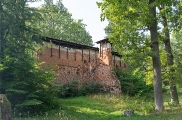 Fototapeta na wymiar ruins of barn