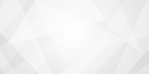 Fototapeta premium Abstract white and gray color technology modern background and geometric and paper texture design in illustration. Texture of white crumpled paper .shadow style. . Geometry shine and layer element .