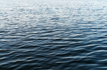 Small ocean waves off the coast of Maine in the early morning summertime.