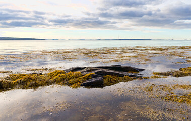 View of Penobscot Bay in Maine at low tide with rocks and seaweed exposed. - 527303688