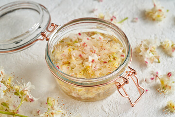 Preparation of herbal tincture from horse chestnut blossoms in spring