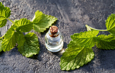 A bottle of melissa essential oil with fresh melissa plant