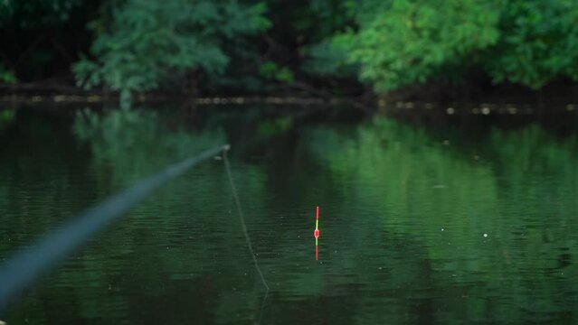 fishing on a float rod on a picturesque lake. wildlife. close-up