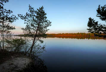 reflection of trees in water