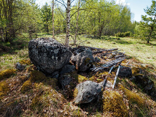 Fototapeta na wymiar rocks in the woods