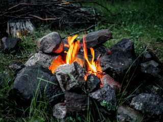 fire in the forest