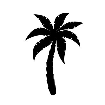 Palm tree icon. Logo coconut palm. Black silhouette palm isolated on white background. Coconuts palmtree for design summer prints. Palmetto tree. Vector illustration