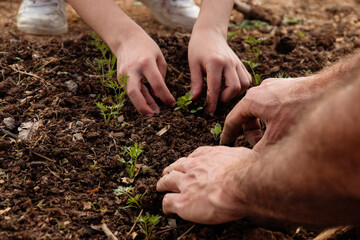 Child learn how to plant. Child ecology learning . Kids hand moving the soil to plant.