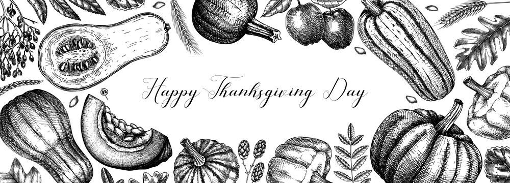 Thanksgiving background. Pumpkins black and white sketches.  Autumn plants and fruit drawings. Vector vegetables, butternut squash, marrow, pumpkin sketches. Fall banner design. Harvest festival.