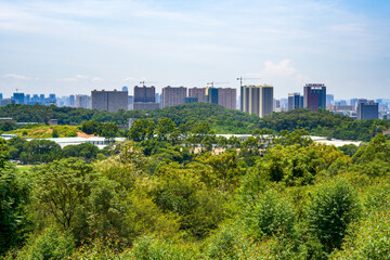Large-scale greening and buildings in the city