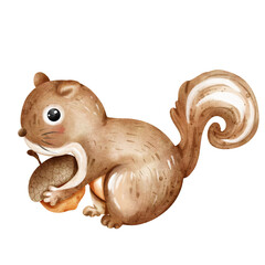 squirrel with acorn © ChonnieArtwork 